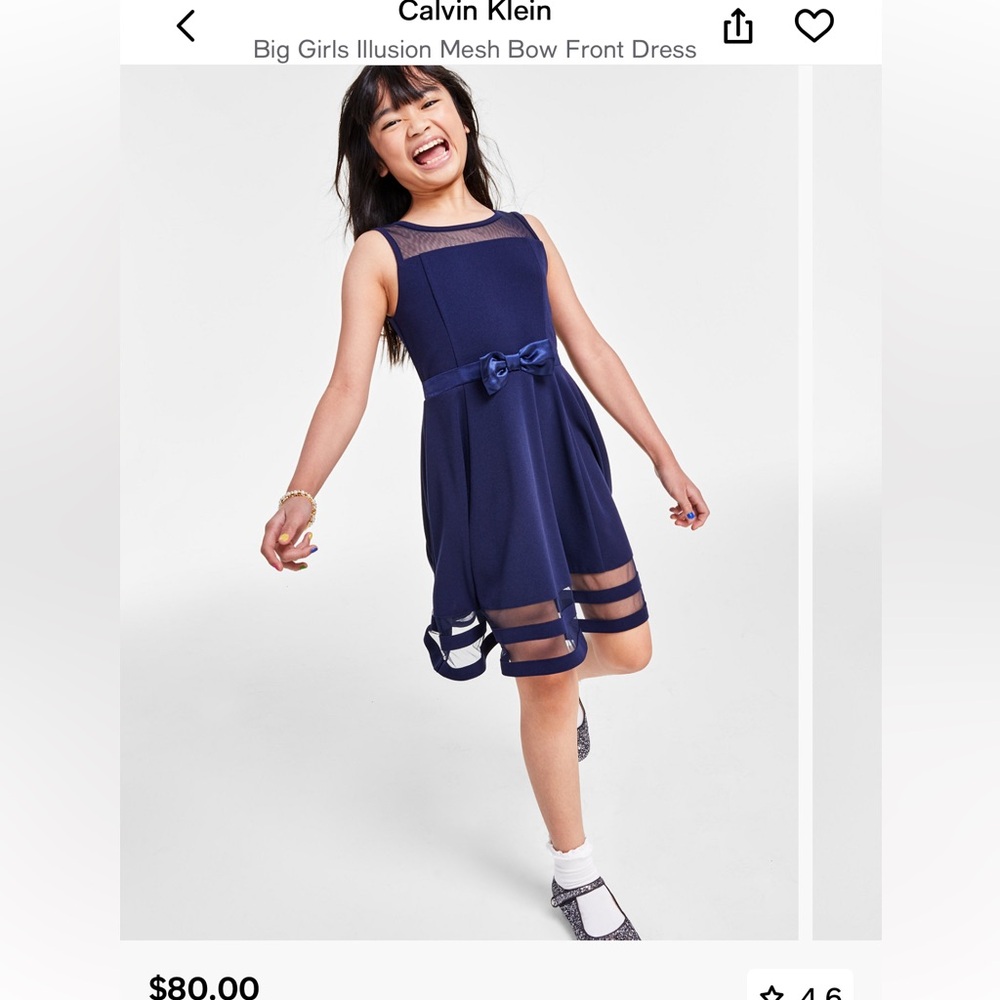Calvin Klein Elegant Navy Mesh Dress